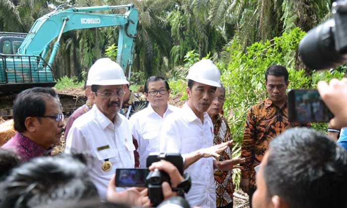 Swasembada Jagung, Presiden Jokowi Apresiasi Petani Dukung Stop Impor